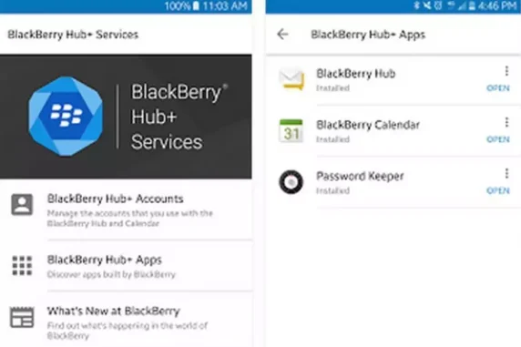 BlackBerry Hub Plus