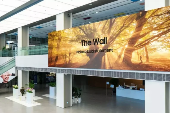 The Wall 2021