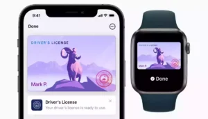 Apple Wallet Drivers License
