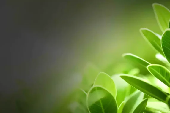 BlackBerry Corporate Responsibility