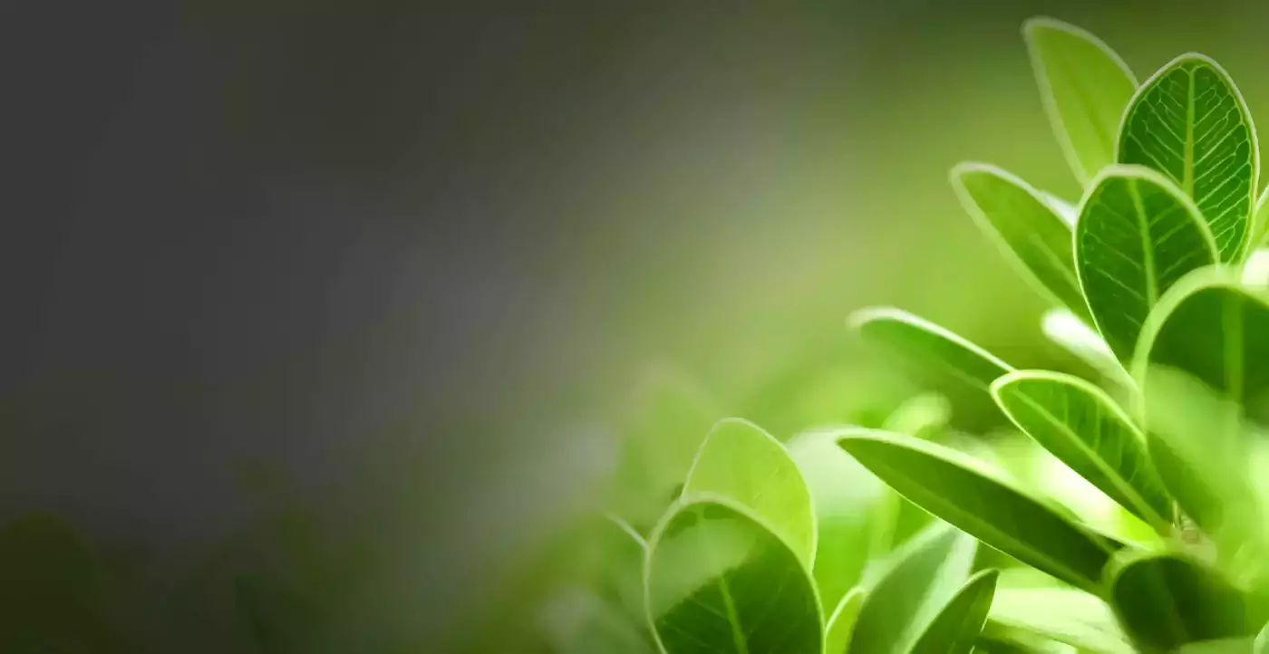 BlackBerry Corporate Responsibility
