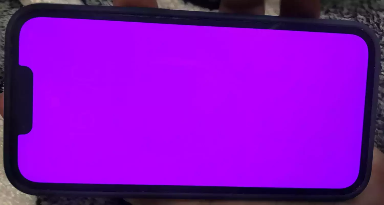 iPhone 13 Pink Screen Issue