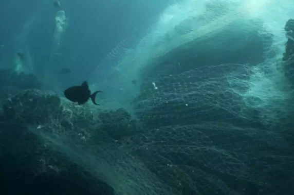 Discarded Fishing Nets