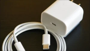 Apple iPhone Charger