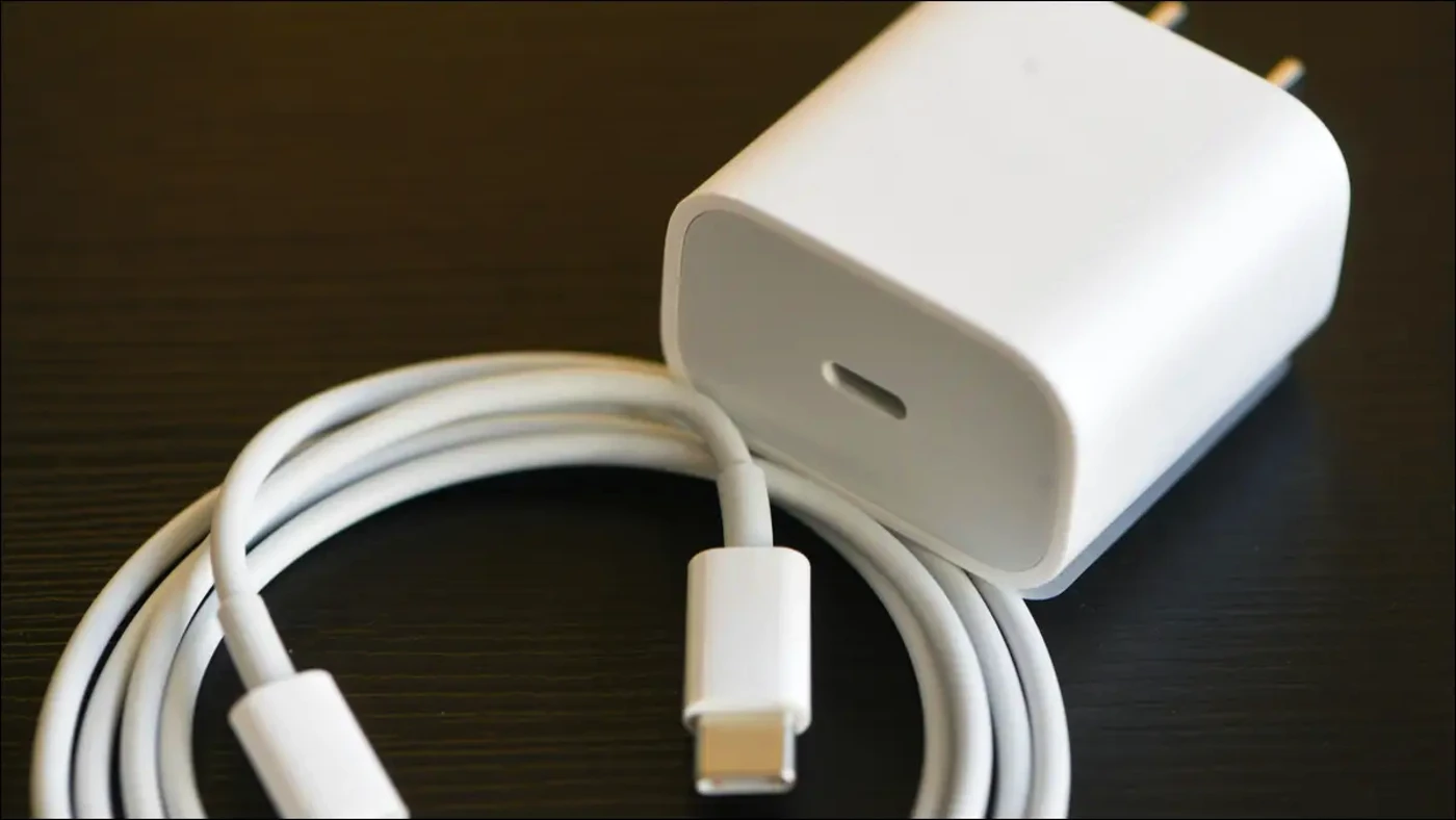 Apple iPhone Charger