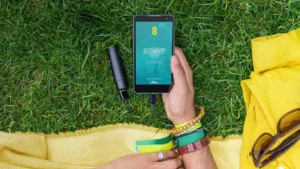 EE Glastonbury App