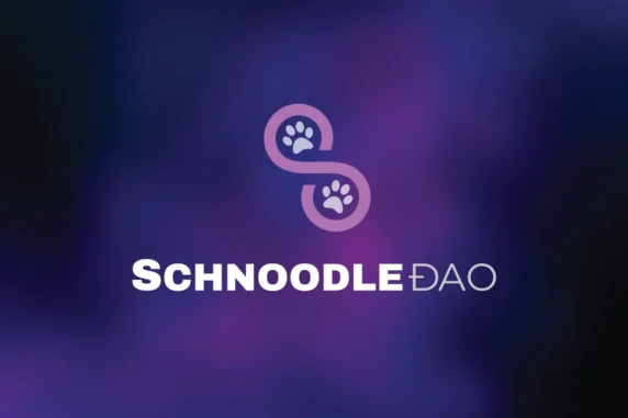 Schnoodle DAO