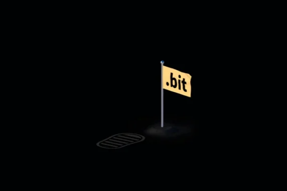 bit