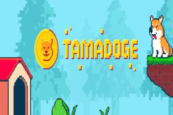 Tamadoge