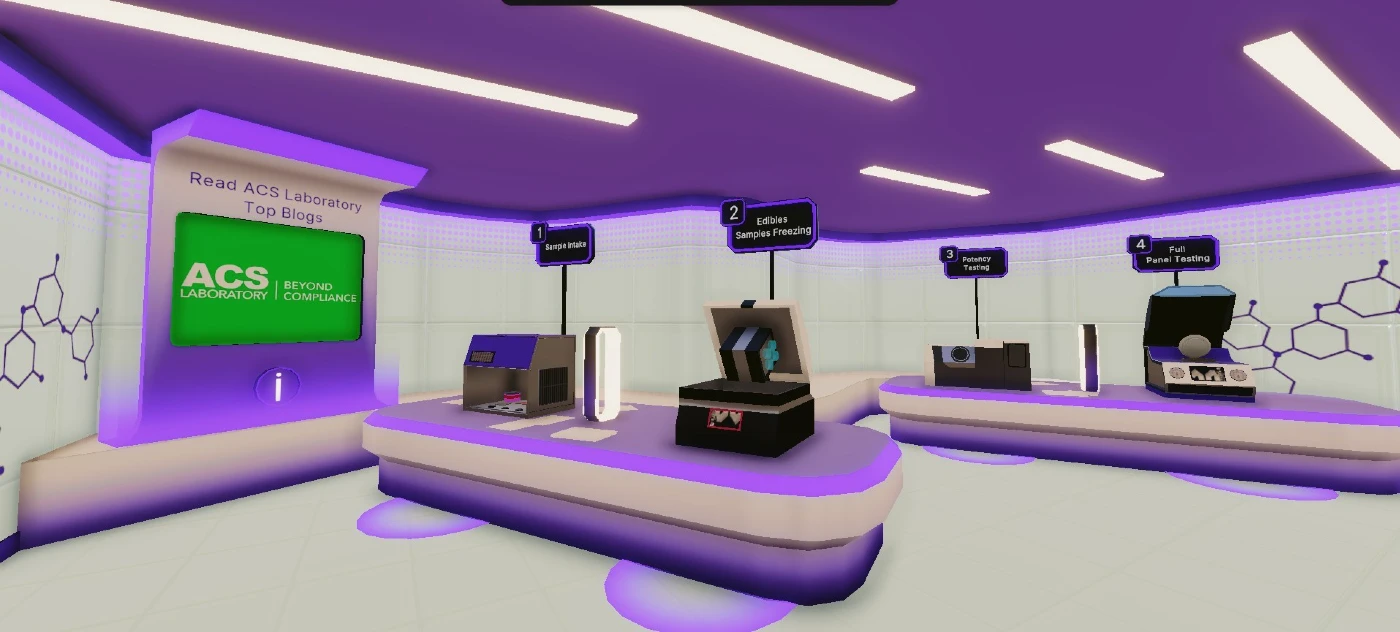 ACS Laboratory in the Metaverse
