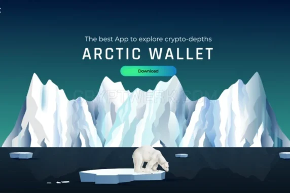 Arctic Wallet
