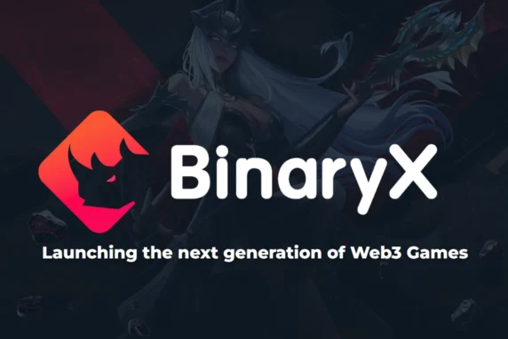 BinaryX