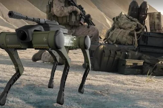 Rainbow Robotics